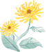 46315_az5i_4275.png