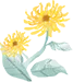 46452_q2md_8794.webp